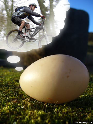 egg's dream of sport, see?