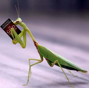 rationalmantis.jpg